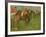 Jockeys, 1886-90-Edgar Degas-Framed Giclee Print