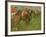 Jockeys, 1886-90-Edgar Degas-Framed Giclee Print