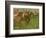 Jockeys, 1886-90-Edgar Degas-Framed Giclee Print