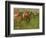 Jockeys, 1886-90-Edgar Degas-Framed Giclee Print