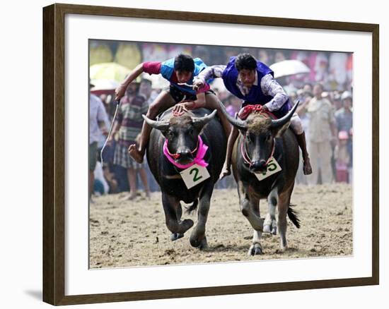 Jockeys Race in the 133 Rd Annual Traditional Water Buffalo Race in Chonburi Province, Thailand-null-Framed Photographic Print