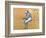 Jockeys-Edgar Degas-Framed Giclee Print