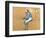 Jockeys-Edgar Degas-Framed Giclee Print