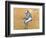 Jockeys-Edgar Degas-Framed Giclee Print