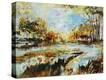 Stretched Canvas Print