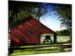 Photographic Print