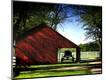 Photographic Print