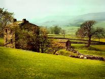 In the Yorkshire Dales-Jody Miller-Photographic Print
