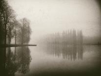 Trees in Fog III-Jody Stuart-Photographic Print