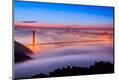 Premium Photographic Print
