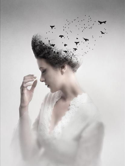 Photographic Print, , large