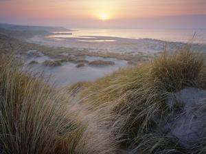 Image result for North Norfolk dunes with misty sunset