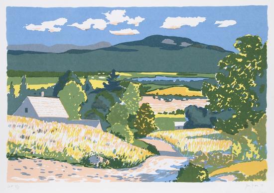 Collectable Print, , large