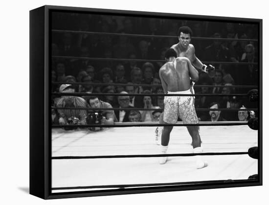 Joe Frazier Vs. Mohammed Ali at Madison Square Garden-John Shearer-Framed Premier Image Canvas