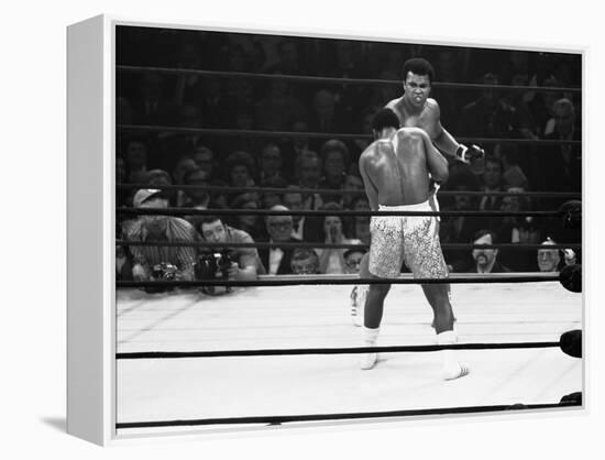 Joe Frazier Vs. Mohammed Ali at Madison Square Garden-John Shearer-Framed Premier Image Canvas