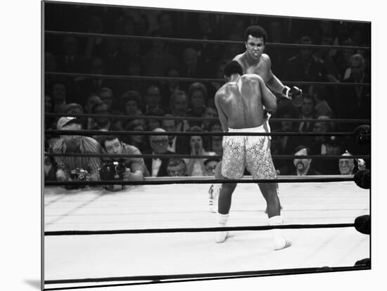 Joe Frazier Vs. Mohammed Ali at Madison Square Garden-John Shearer-Mounted Premium Photographic Print