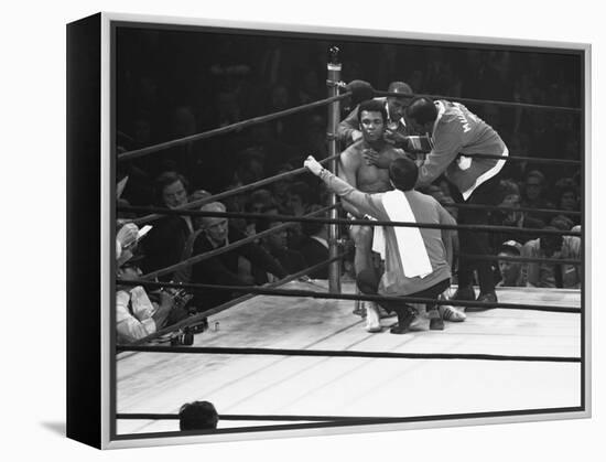 Joe Frazier Vs. Mohammed Ali at Madison Square Garden-John Shearer-Framed Premier Image Canvas