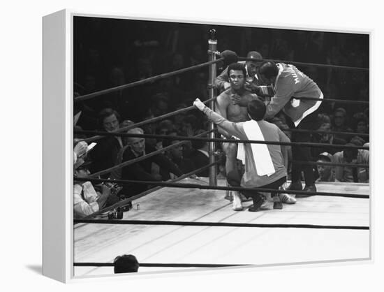 Joe Frazier Vs. Mohammed Ali at Madison Square Garden-John Shearer-Framed Premier Image Canvas