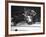 Joe Frazier Vs. Mohammed Ali at Madison Square Garden-John Shearer-Framed Premium Photographic Print