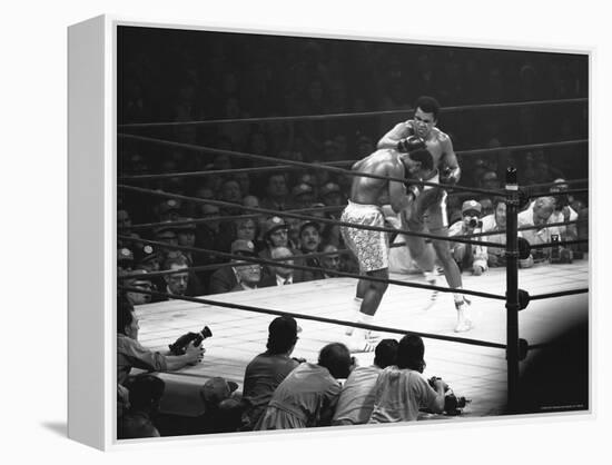 Joe Frazier Vs. Mohammed Ali at Madison Square Garden-John Shearer-Framed Premier Image Canvas