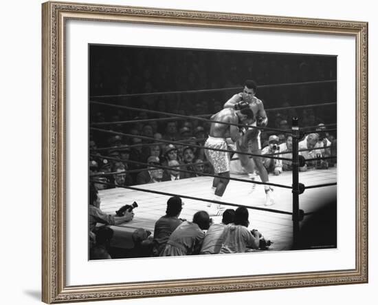 Joe Frazier Vs. Mohammed Ali at Madison Square Garden-John Shearer-Framed Premium Photographic Print