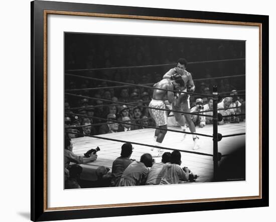 Joe Frazier Vs. Mohammed Ali at Madison Square Garden-John Shearer-Framed Premium Photographic Print