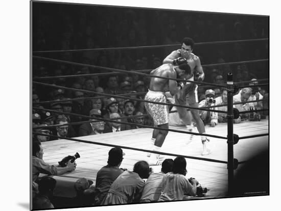 Joe Frazier Vs. Mohammed Ali at Madison Square Garden-John Shearer-Mounted Premium Photographic Print