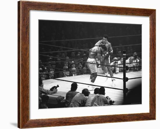 Joe Frazier Vs. Mohammed Ali at Madison Square Garden-John Shearer-Framed Premium Photographic Print