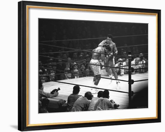 Joe Frazier Vs. Mohammed Ali at Madison Square Garden-John Shearer-Framed Premium Photographic Print