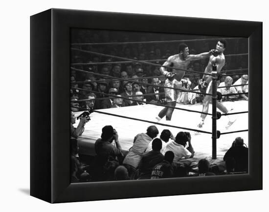 Joe Frazier Vs. Mohammed Ali at Madison Square Garden-John Shearer-Framed Premier Image Canvas