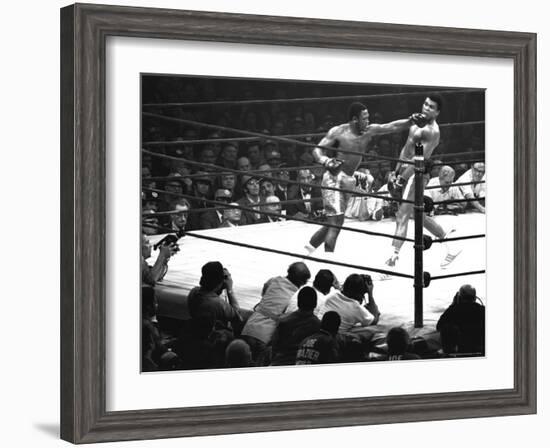 Joe Frazier Vs. Mohammed Ali at Madison Square Garden-John Shearer-Framed Premium Photographic Print