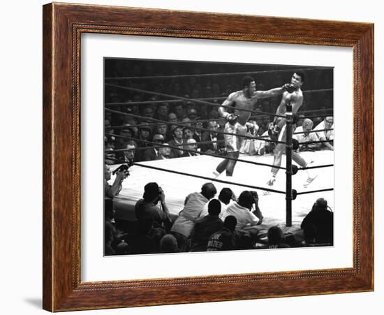 Joe Frazier Vs. Mohammed Ali at Madison Square Garden-John Shearer-Framed Premium Photographic Print