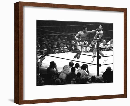 Joe Frazier Vs. Mohammed Ali at Madison Square Garden-John Shearer-Framed Premium Photographic Print