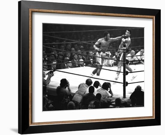 Joe Frazier Vs. Mohammed Ali at Madison Square Garden-John Shearer-Framed Premium Photographic Print