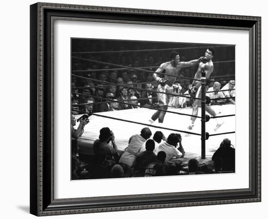 Joe Frazier Vs. Mohammed Ali at Madison Square Garden-John Shearer-Framed Premium Photographic Print