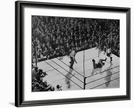 Joe Lewis on the Canvas After Being Knocked Down by Contender Jersey Joe Walcott-Gjon Mili-Framed Premium Photographic Print