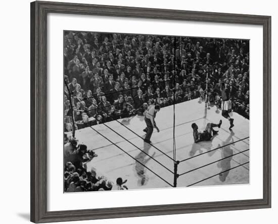 Joe Lewis on the Canvas After Being Knocked Down by Contender Jersey Joe Walcott-Gjon Mili-Framed Premium Photographic Print