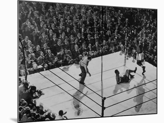 Joe Lewis on the Canvas After Being Knocked Down by Contender Jersey Joe Walcott-Gjon Mili-Mounted Premium Photographic Print