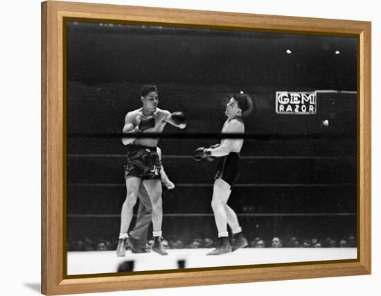 Joe Louis, Negro Boxer Fighting Perry-Peter Stackpole-Framed Premier Image Canvas