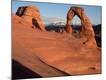 Photographic Print