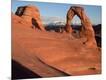 Photographic Print
