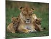 Premium Photographic Print
