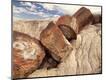 Photographic Print