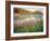 Joe Pye Weed at Sndyers Bend Park, Iowa Missouri River-Tom Till-Framed Photographic Print