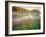 Joe Pye Weed at Sndyers Bend Park, Iowa Missouri River-Tom Till-Framed Photographic Print