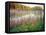 Joe Pye Weed at Sndyers Bend Park, Iowa Missouri River-Tom Till-Framed Premier Image Canvas