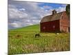 Photographic Print