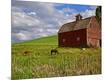 Photographic Print