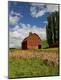 Photographic Print