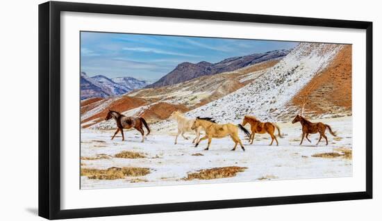 Photographic Print, , large